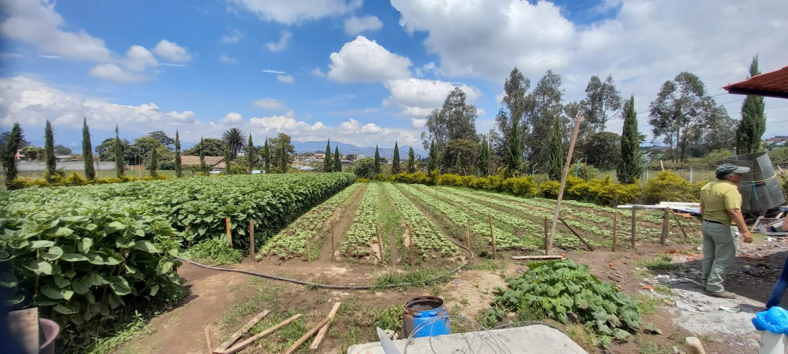 Quinta Productiva de 4127 m2, en Yaruquí.