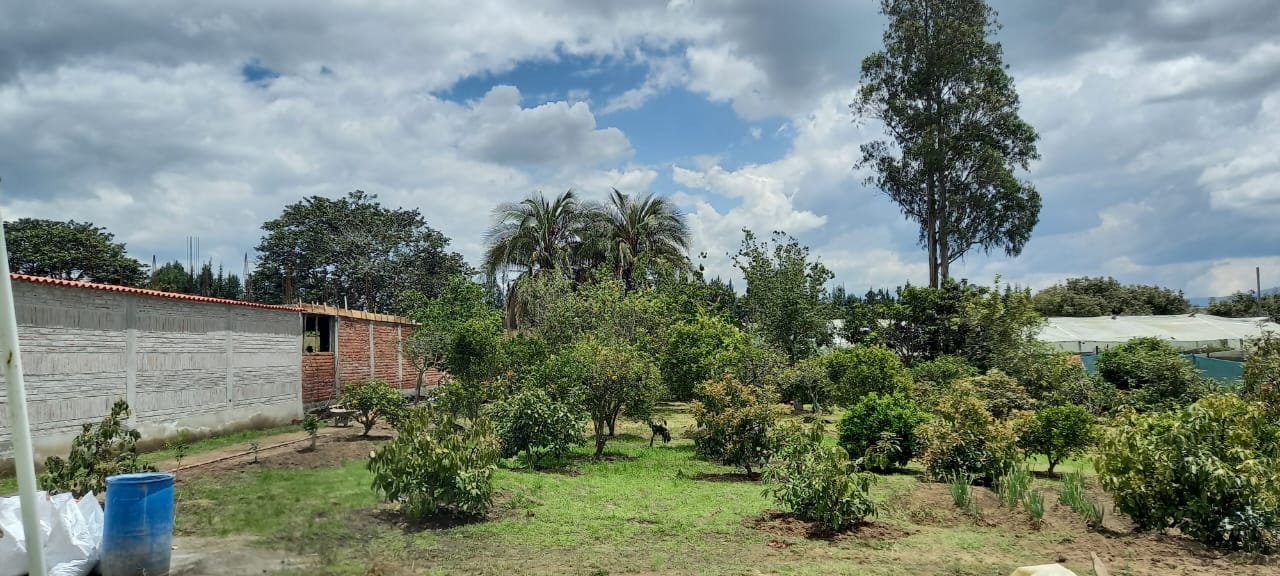 Quinta Productiva de 4127 m2, en Yaruquí.