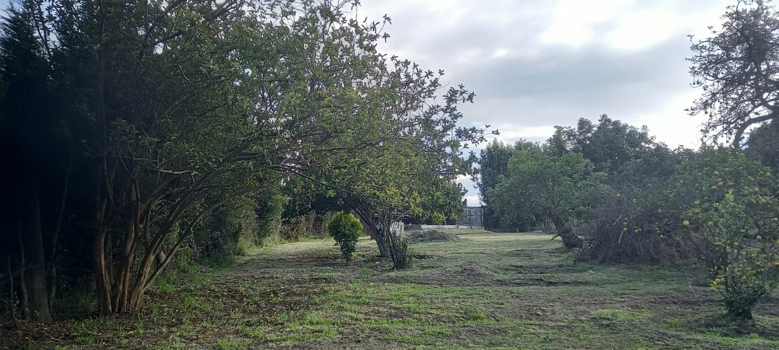 Terreno Plano y Esquinero de 995 m2, en Tababela.