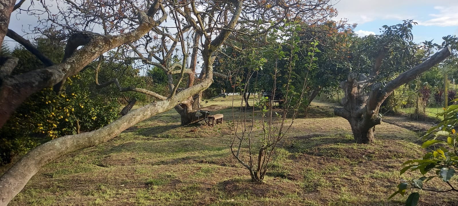 Terreno Plano y Esquinero de 995 m2, en Tababela.