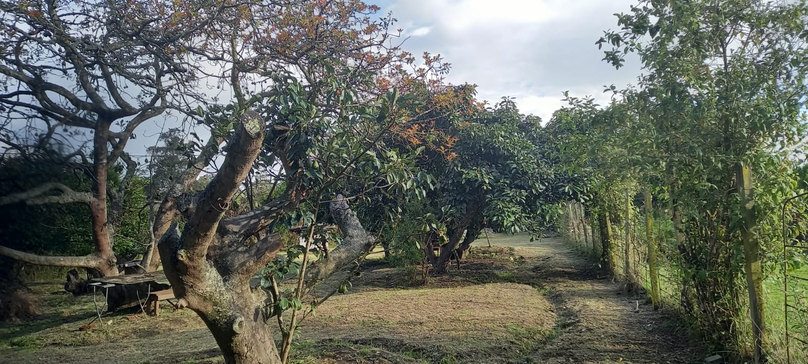Terreno Plano y Esquinero de 995 m2, en Tababela.