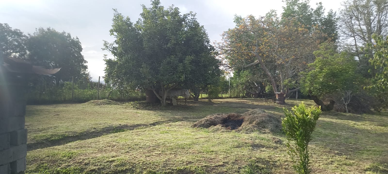 Terreno Plano y Esquinero de 995 m2, en Tababela.