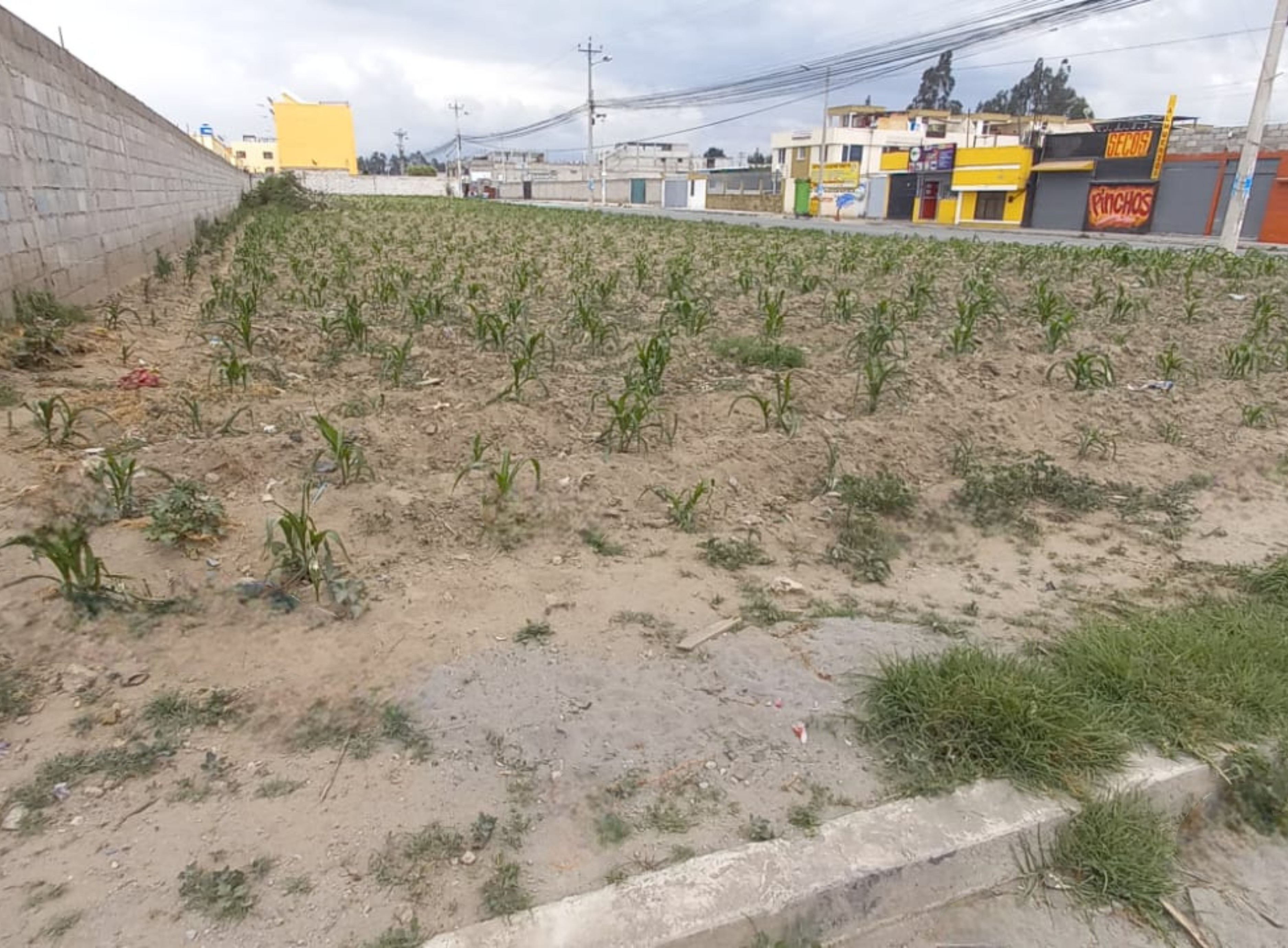 Importante Terreno Comercial de 1.787,22 m², en Calderón.