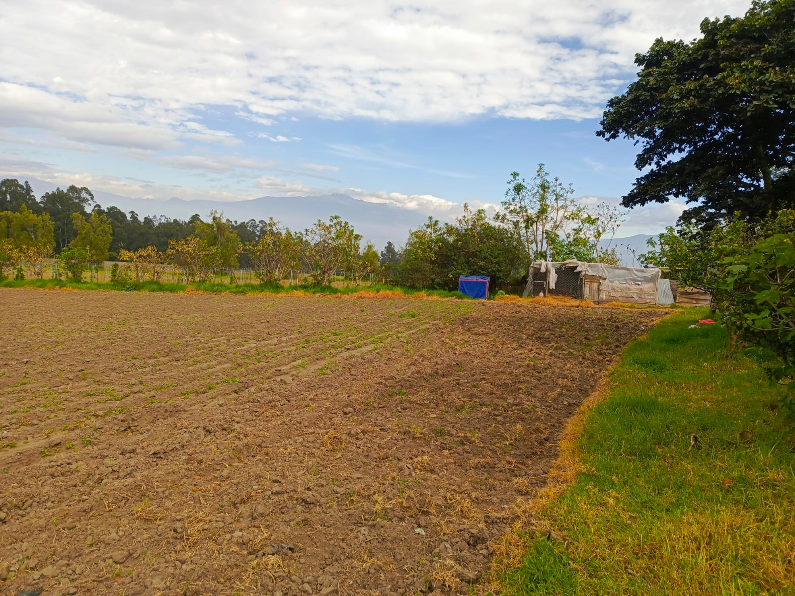 Espaciosa Quinta de 6800 m2, con Reservorio Natural de Agua, en el Quinche