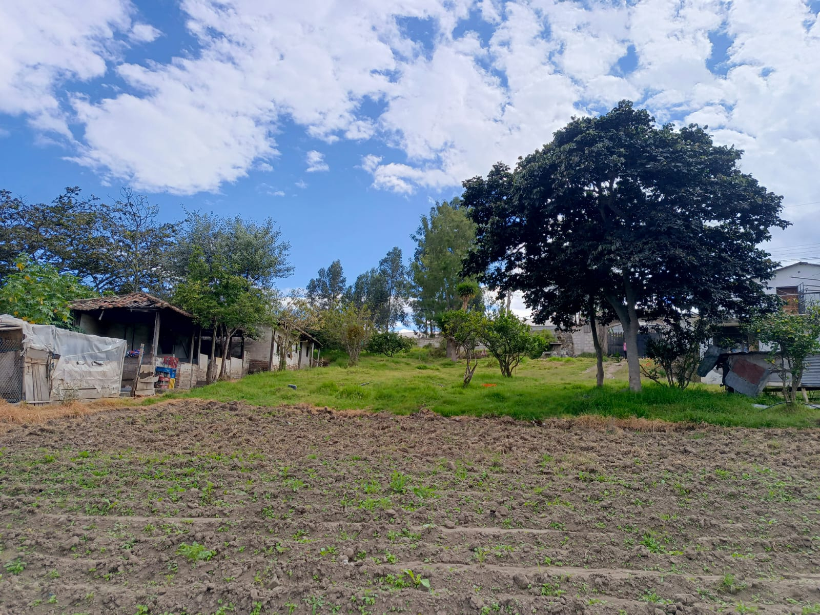 Espaciosa Quinta de 6800 m2, con Reservorio Natural de Agua, en el Quinche