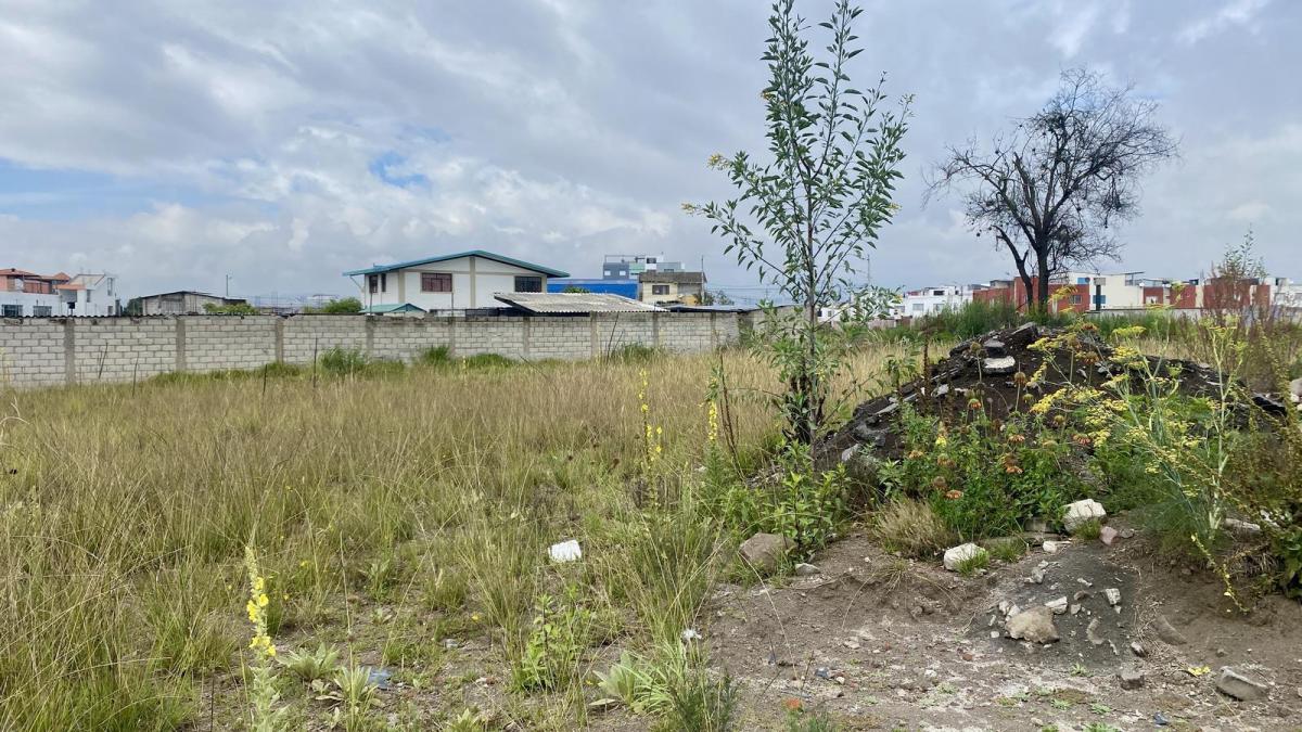 Terreno Plano en Venta, 1480 m2 en Calderón Marianitas ¡DE OPORTUNIDAD!