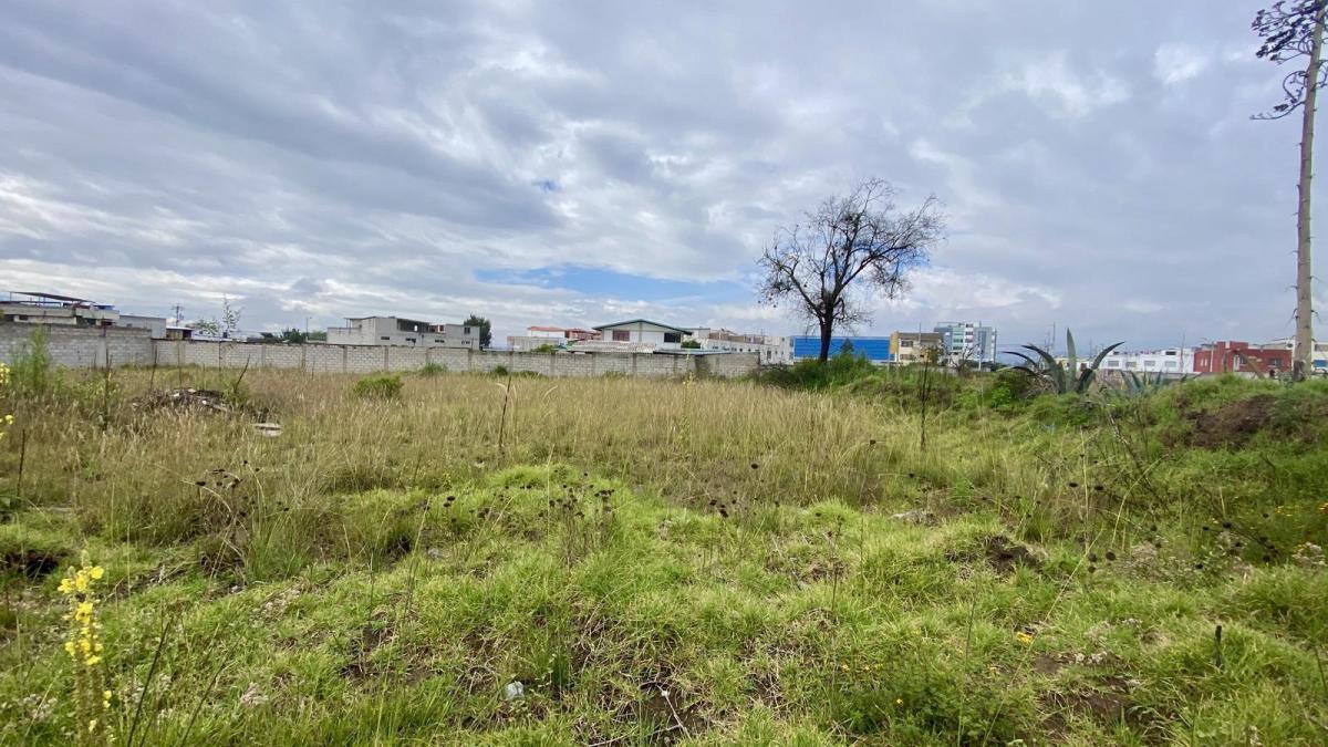 Terreno Plano en Venta, 1480 m2 en Calderón Marianitas ¡DE OPORTUNIDAD!
