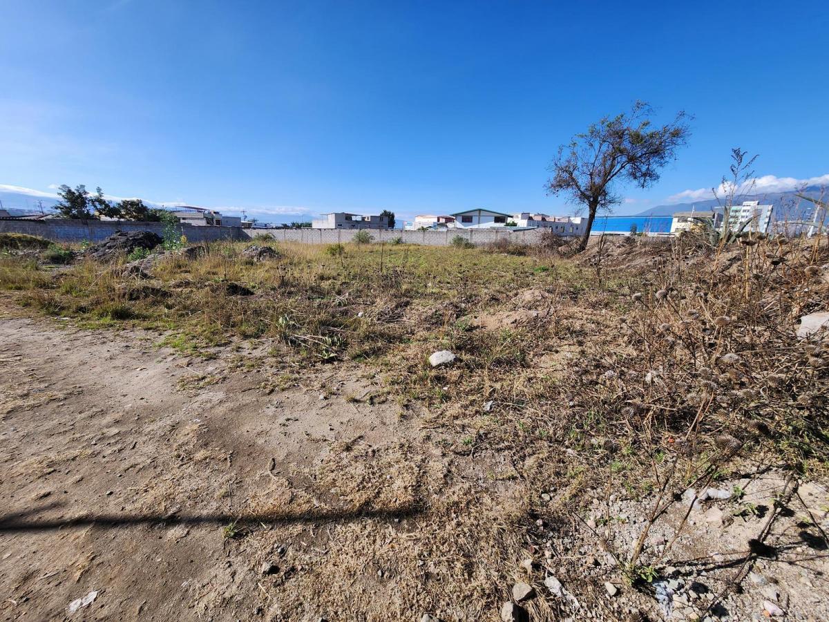 Terreno Plano en Venta, 1480 m2 en Calderón Marianitas ¡DE OPORTUNIDAD!