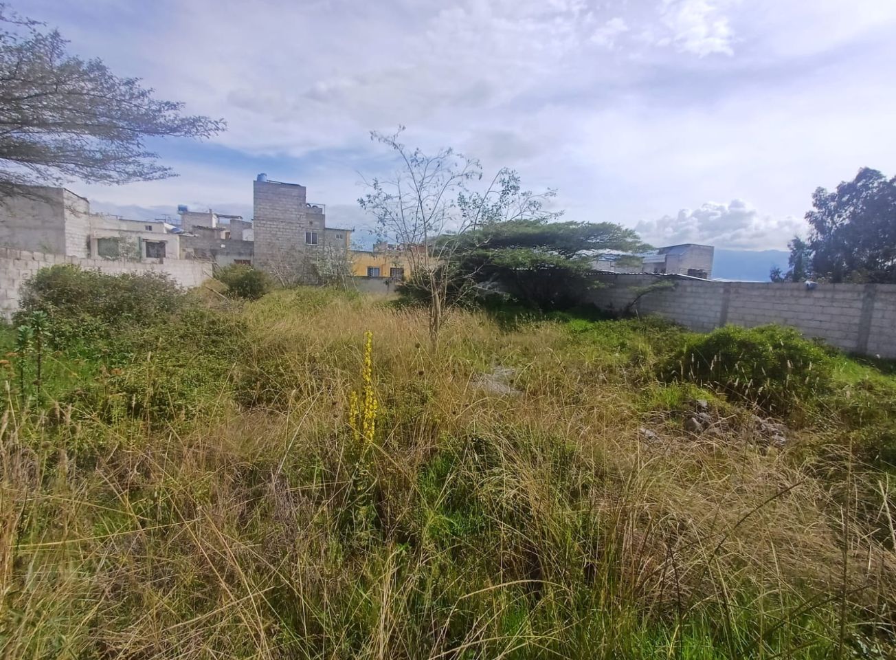 Terreno Plano de 676 m2, en Marianitas de Calderón, Sector Colegio Municipal del Milenio