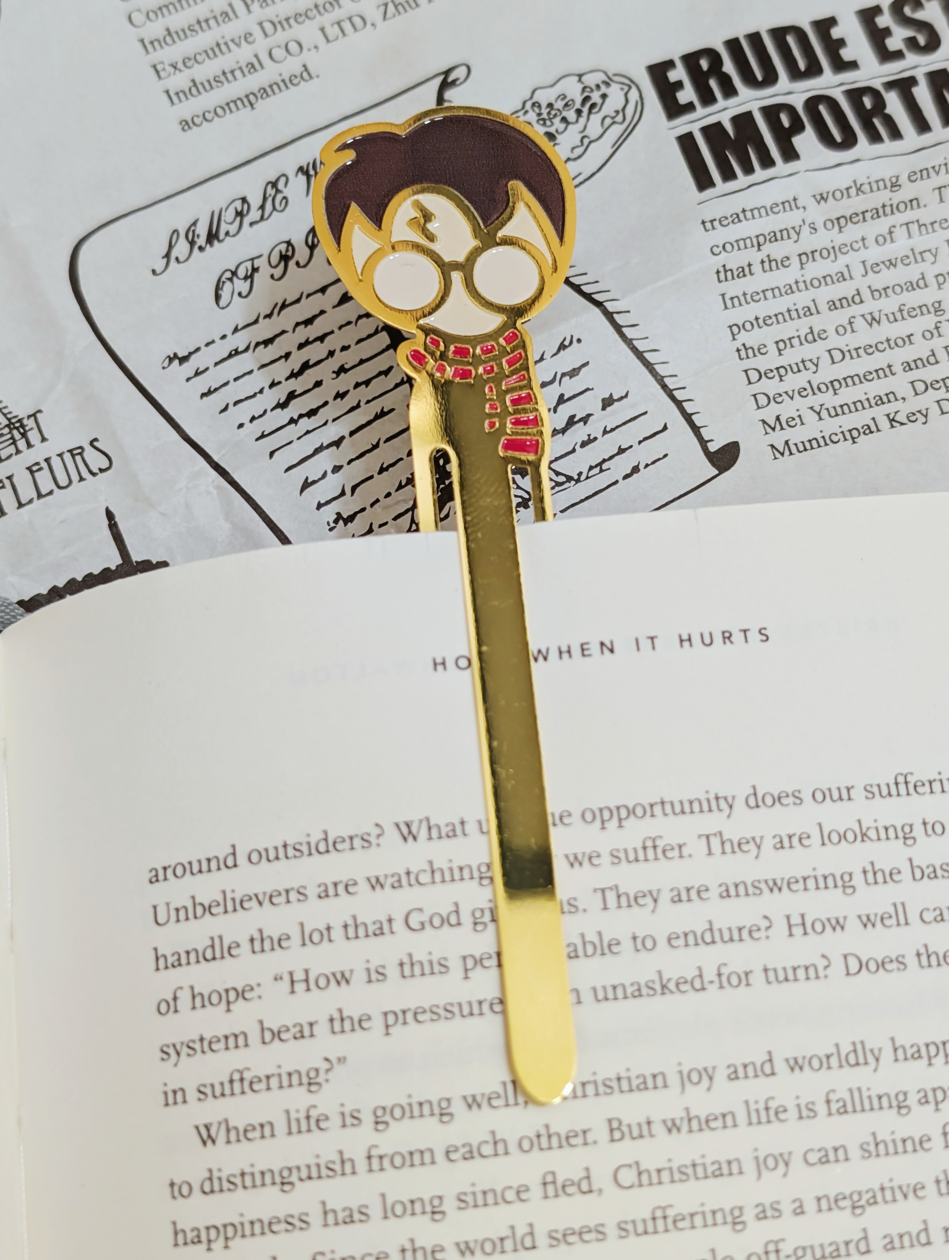 Separador de Libros -  Harry Potter 