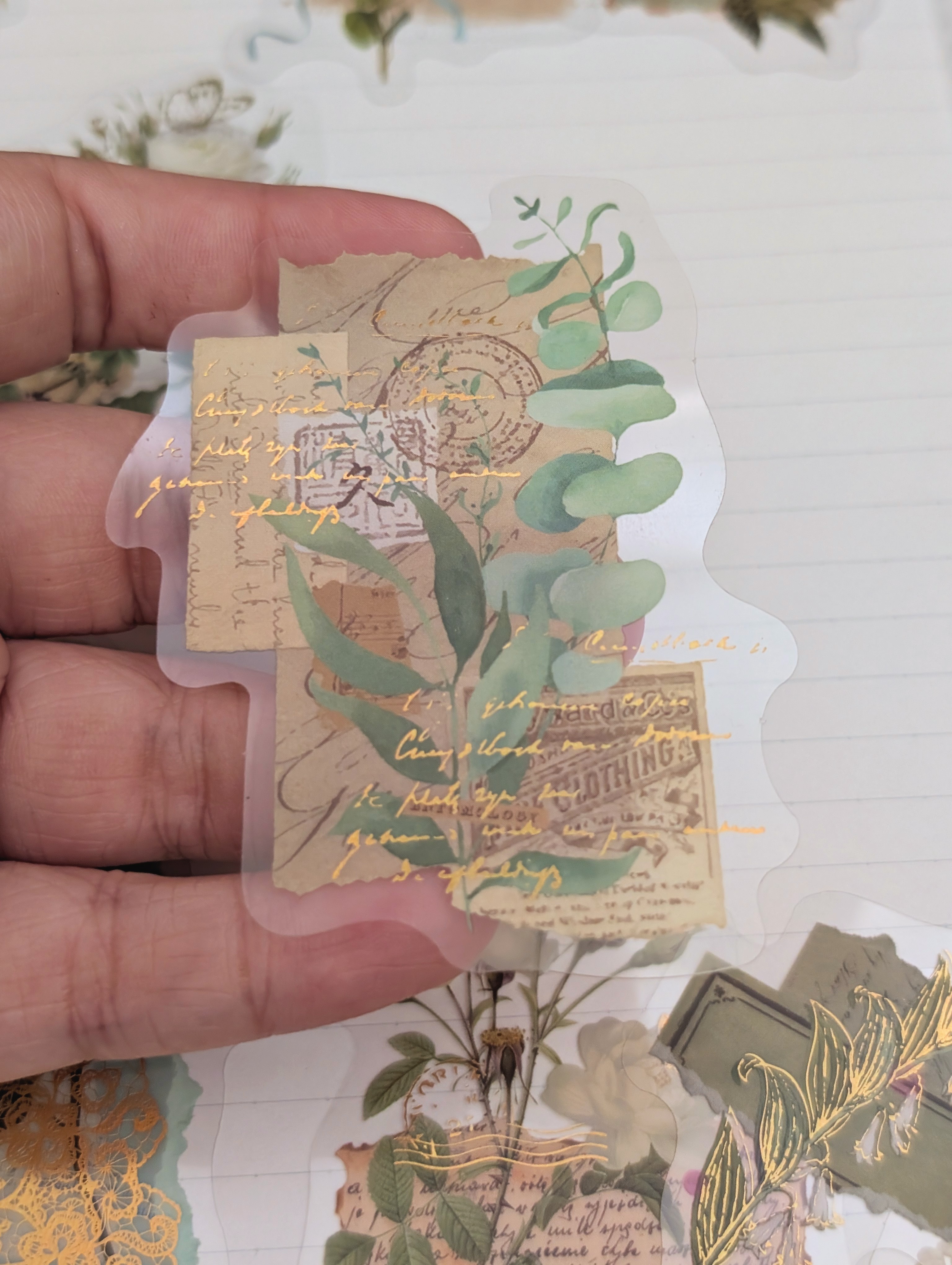 Stickers de Plantitas 