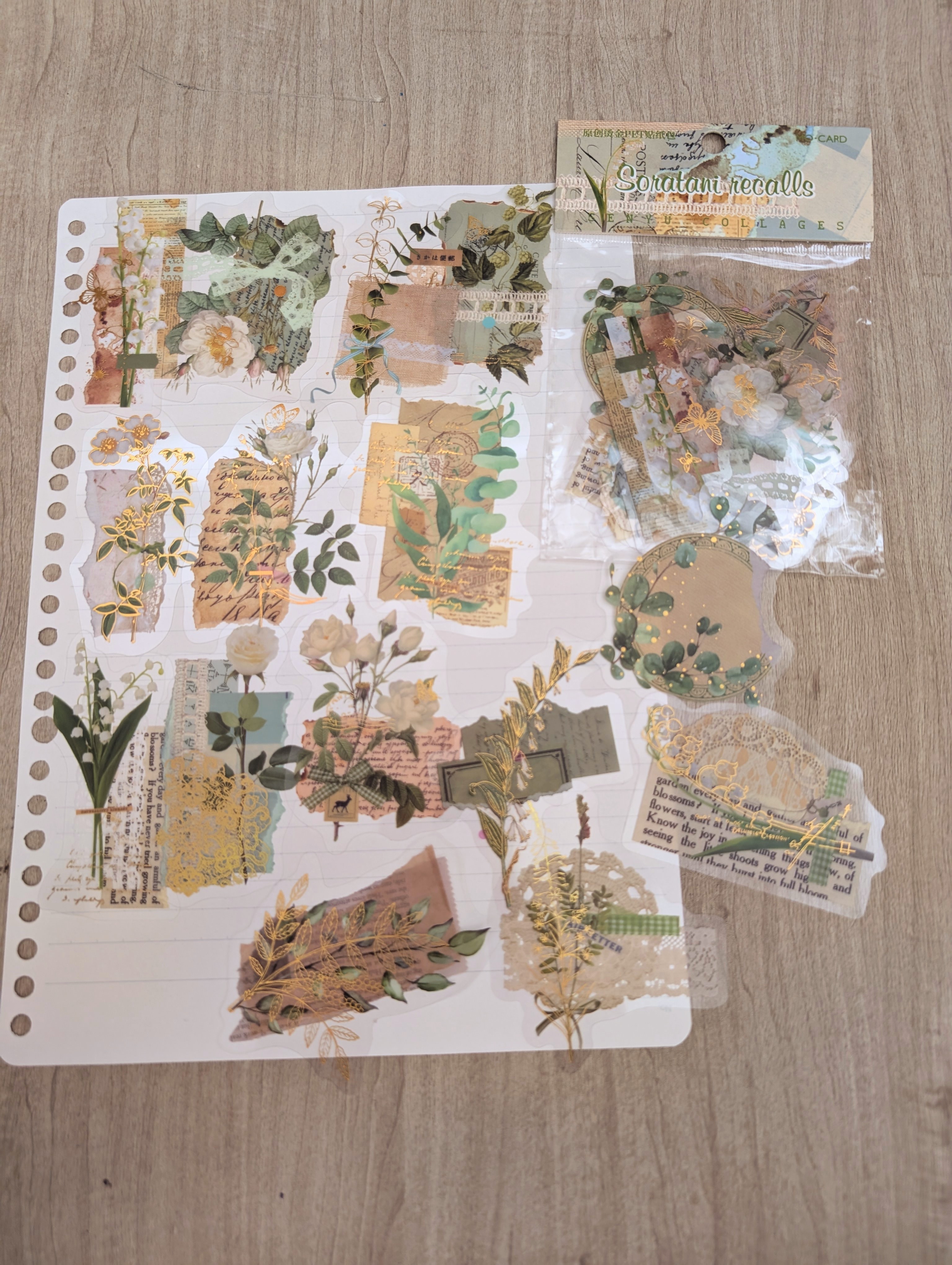 Stickers de Plantitas 