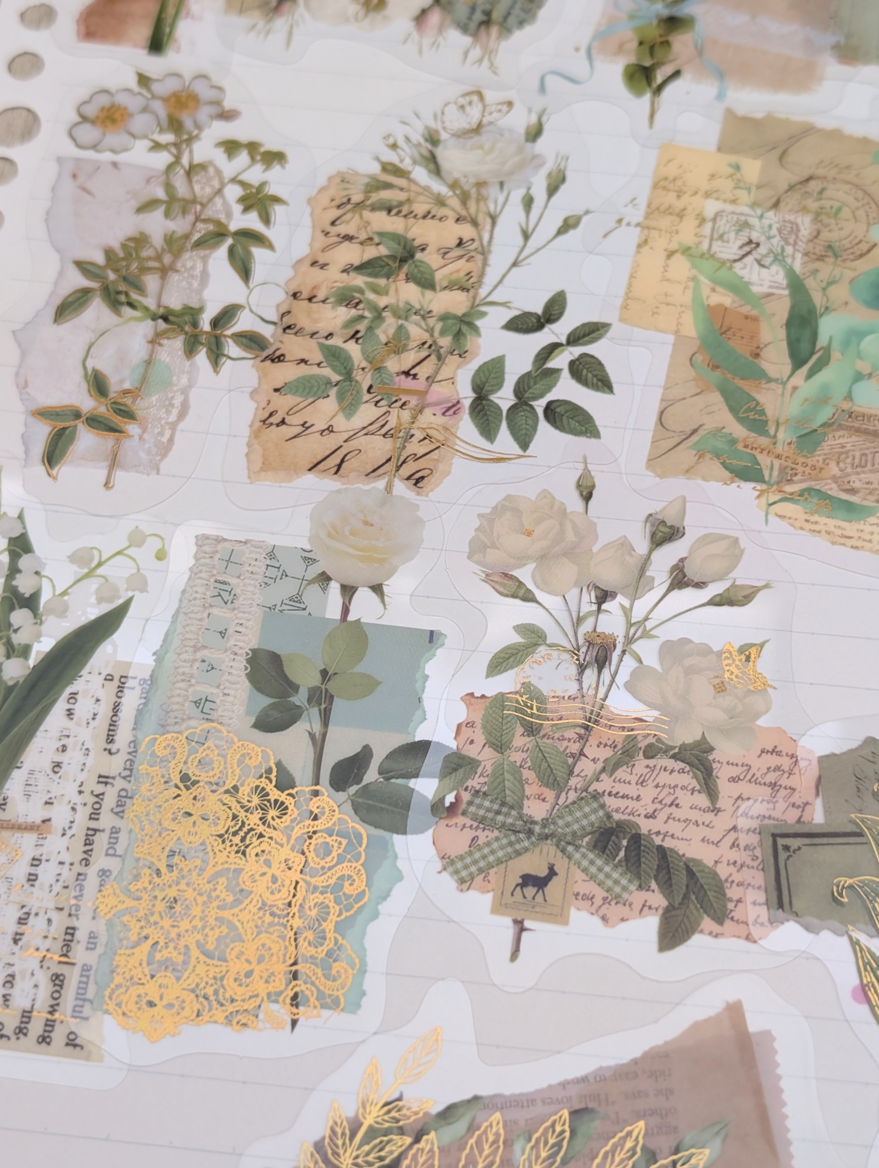 Stickers de Plantitas 