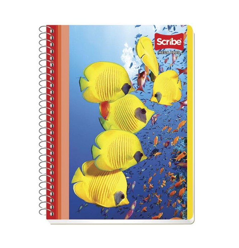 Cuaderno Espiral de 100 Hojas Francés Cuadro Grande Mega Scribe