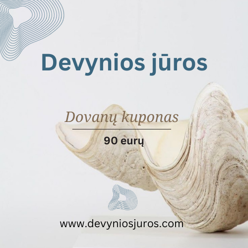 Dovanų kuponas 90eur.
