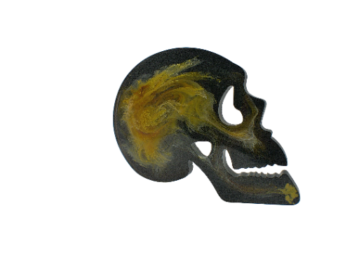 Skull Coaster