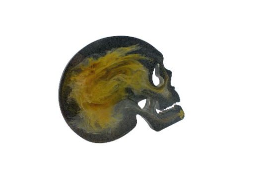 Skull Coaster