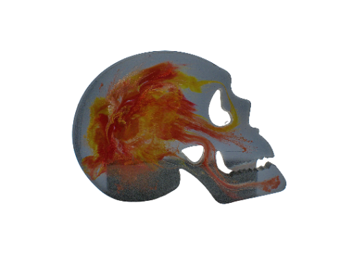 Skull Coaster