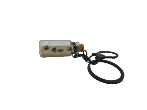 Beach in Bottle Keychain