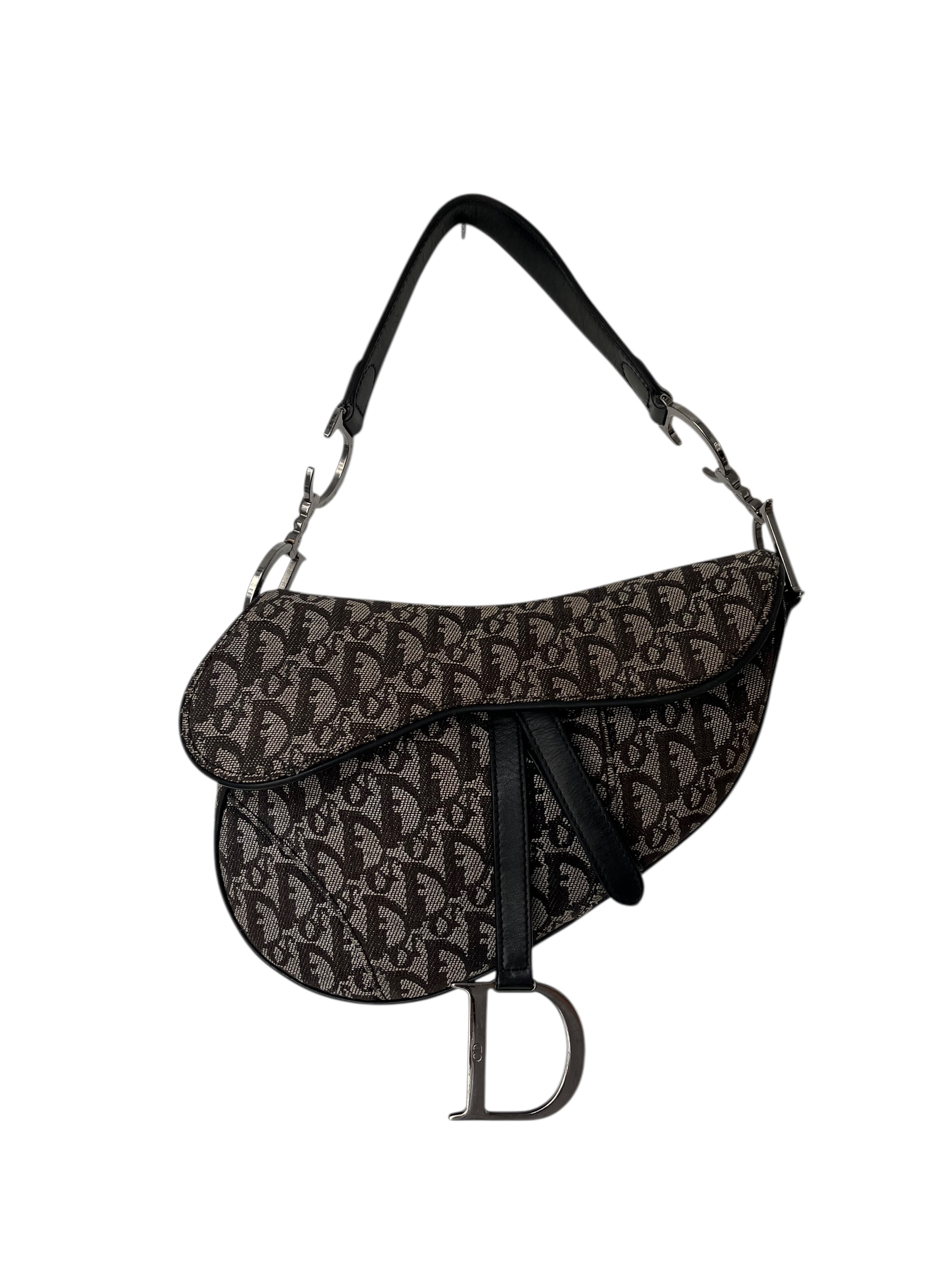 Saddle Dior Monogramme