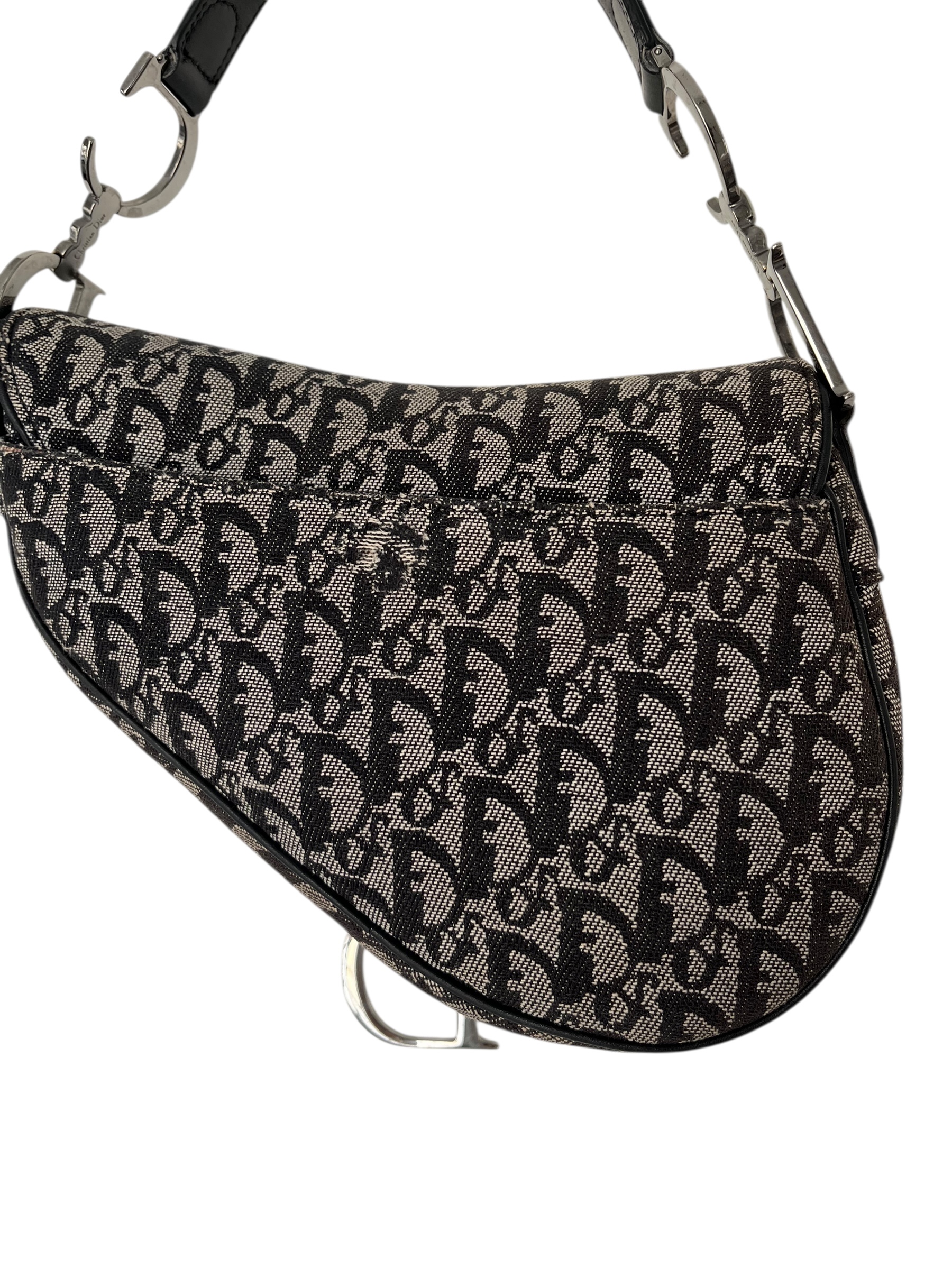 Saddle Dior Monogramme