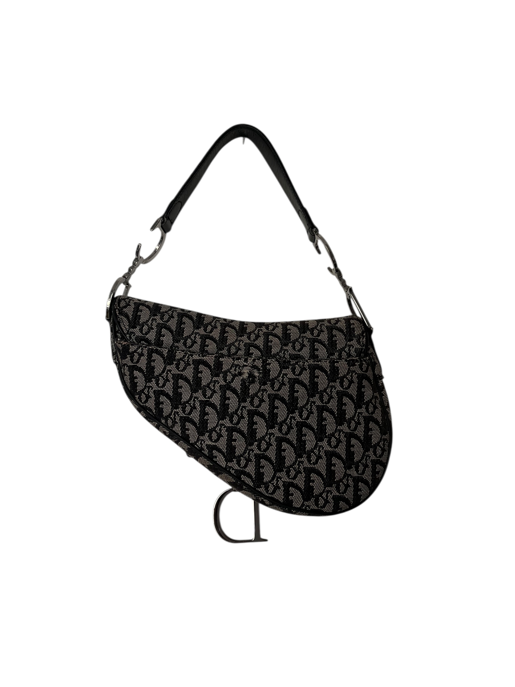 Saddle Dior Monogramme