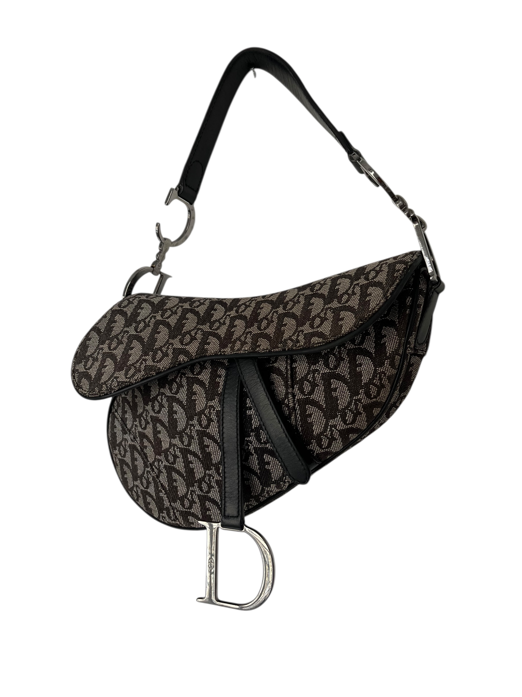 Saddle Dior Monogramme