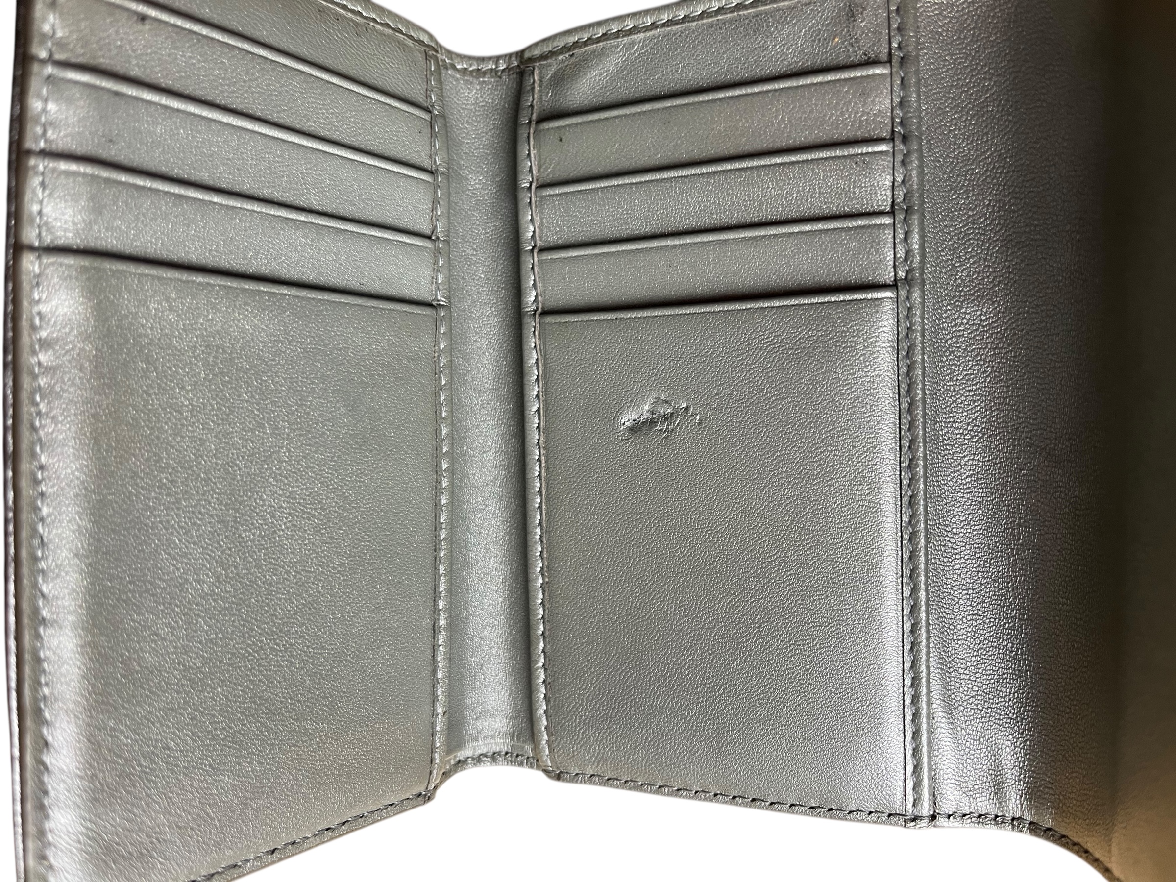 Wallet Diorama Vert Argent irisé 