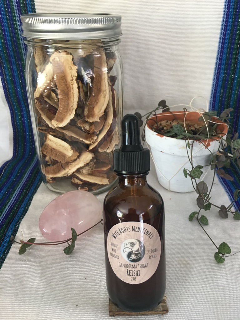 Reishi (Ganoderma Tsugae) Tincture - Double Extract