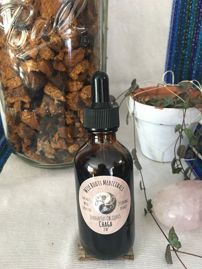 Chaga (Inonotus obliquus) Tincture - Double Extract
