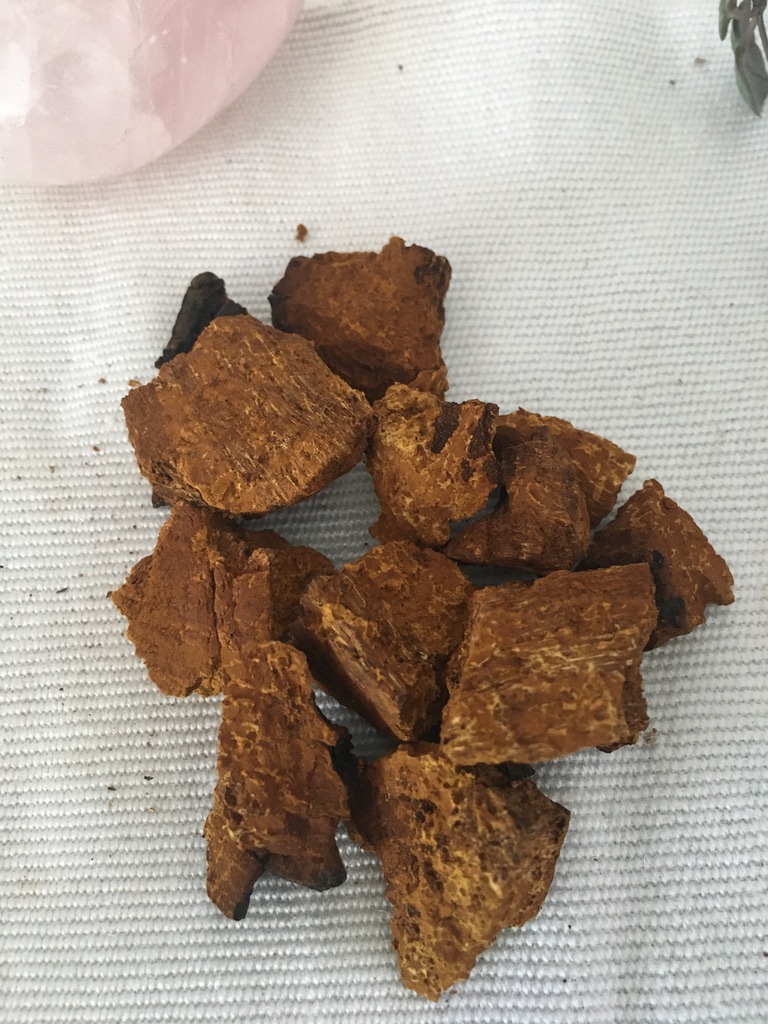 Chaga (Inonotus obliquus) Tincture - Double Extract