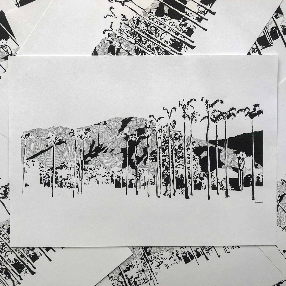 Las sombras del oasis