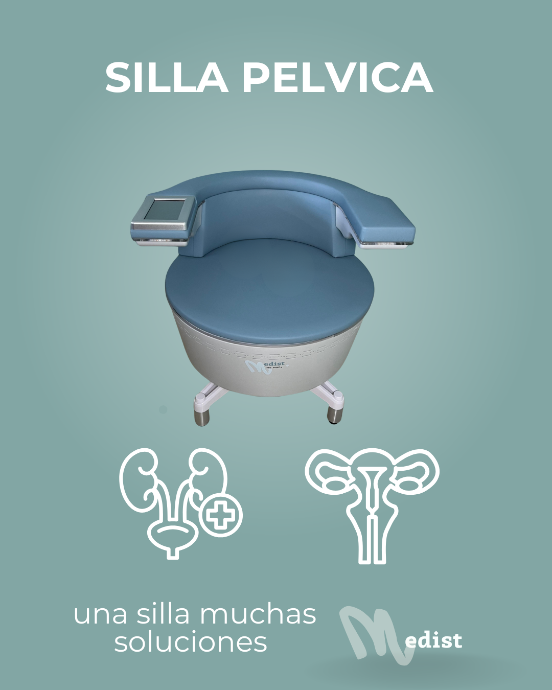 Silla Pelvica 