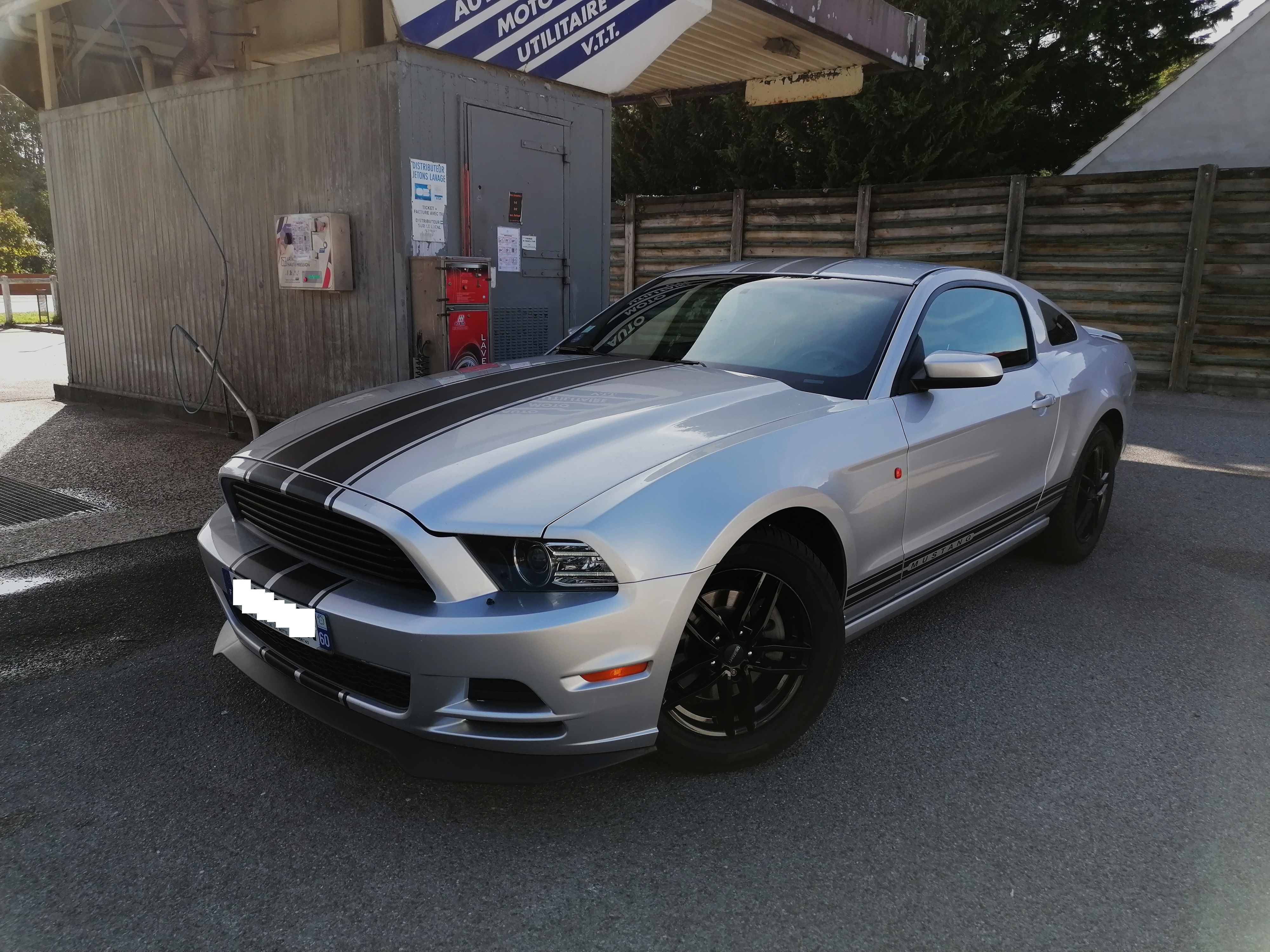 MUSTANG V