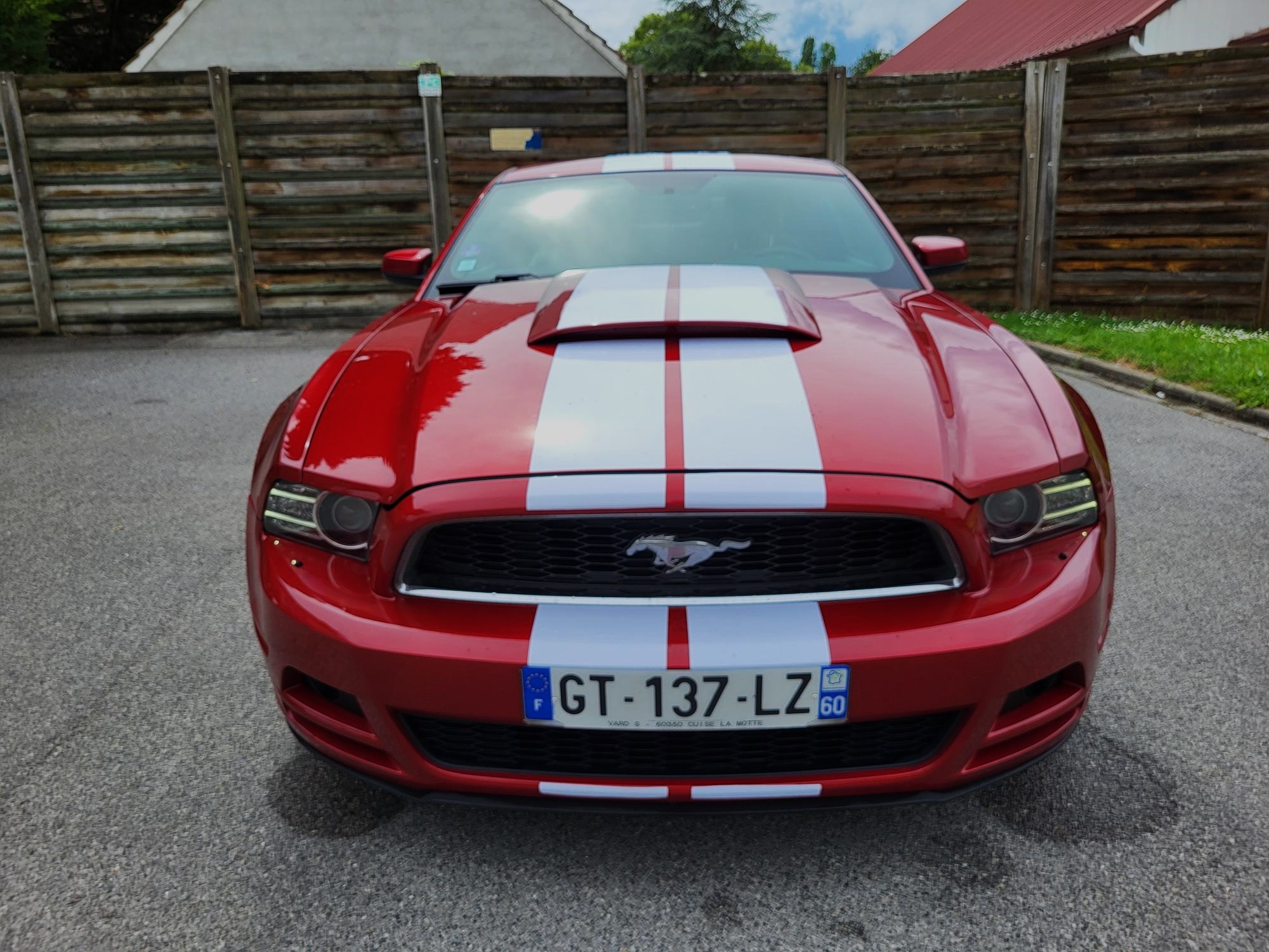 MUSTANG V6 305