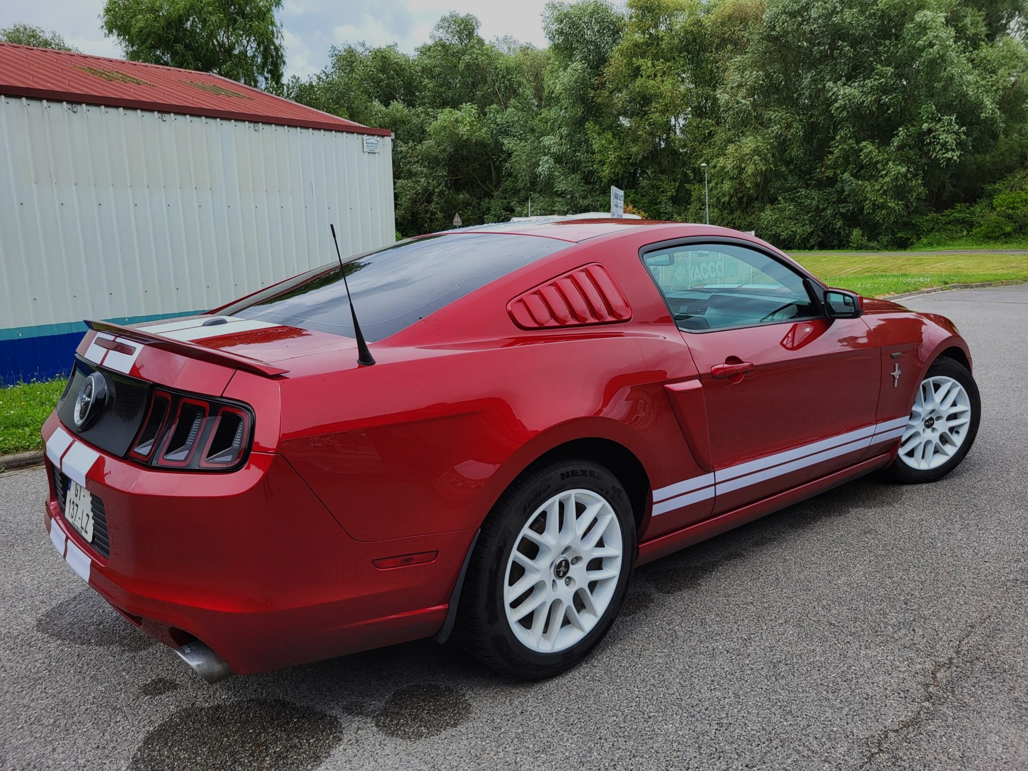 MUSTANG V6 305