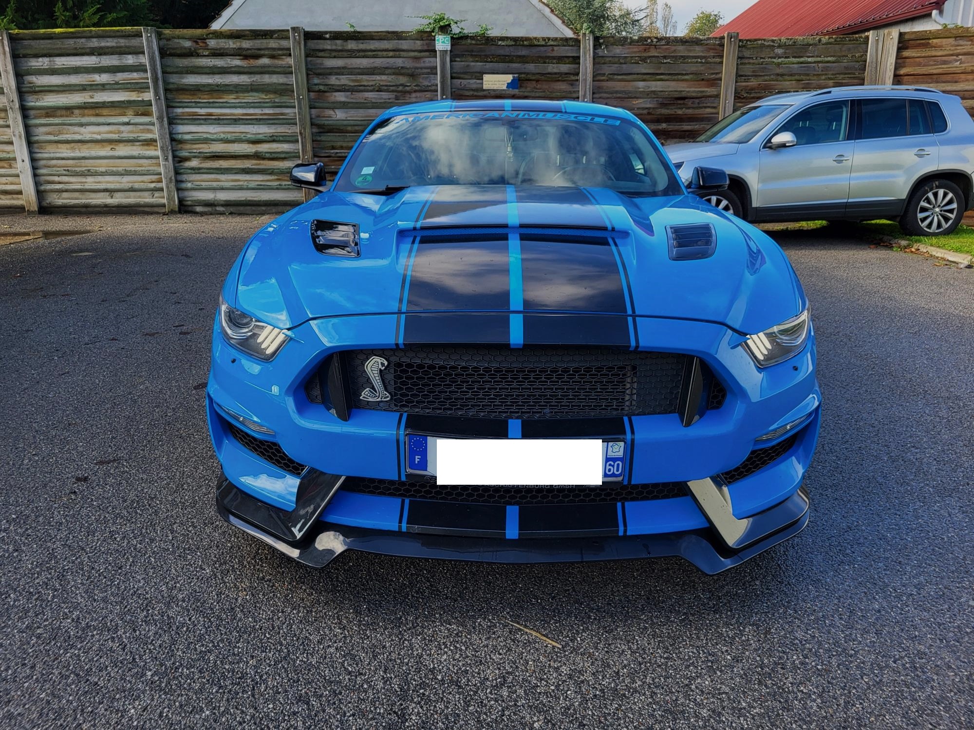 MUSTANG VI
