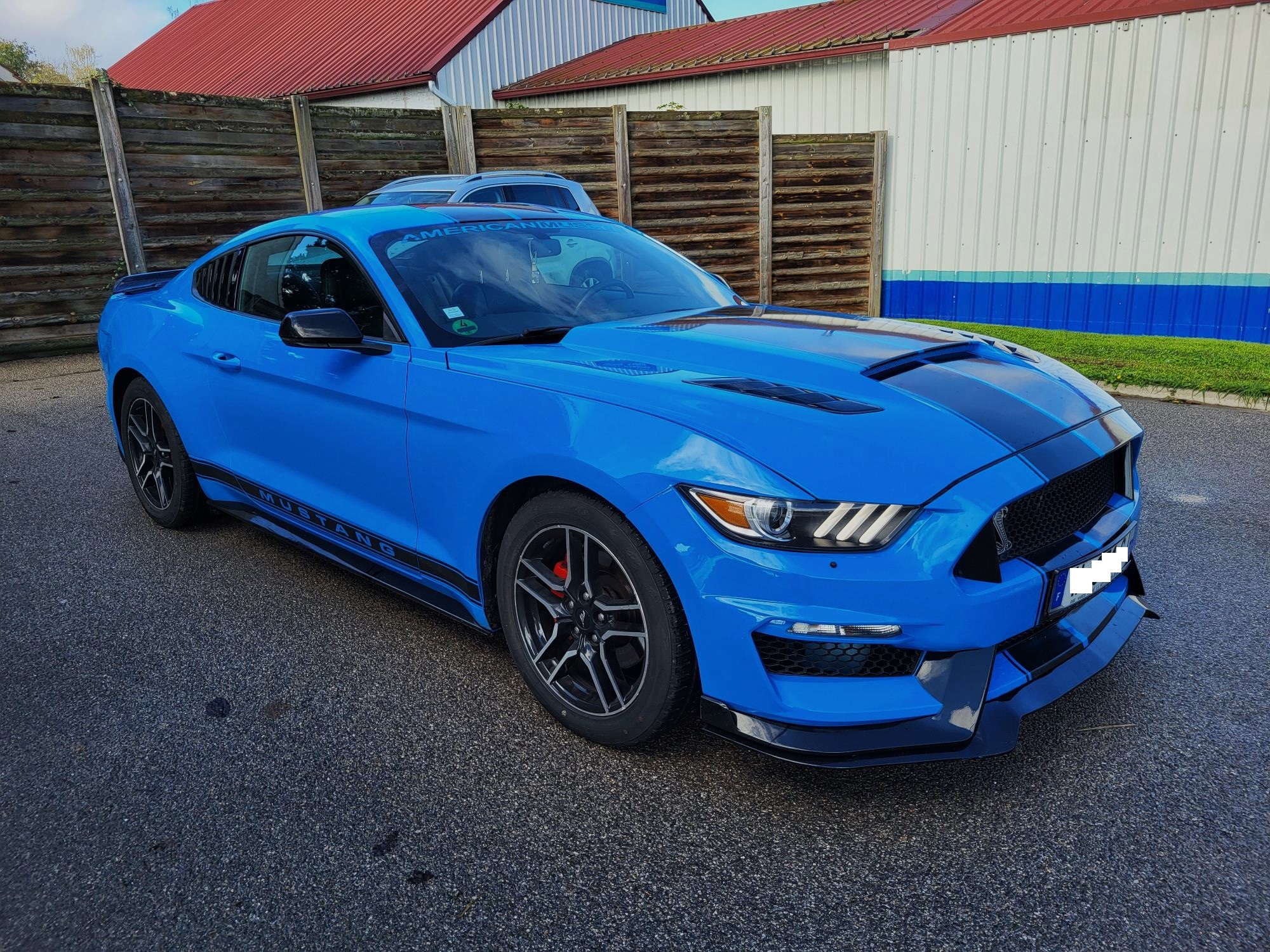 MUSTANG VI