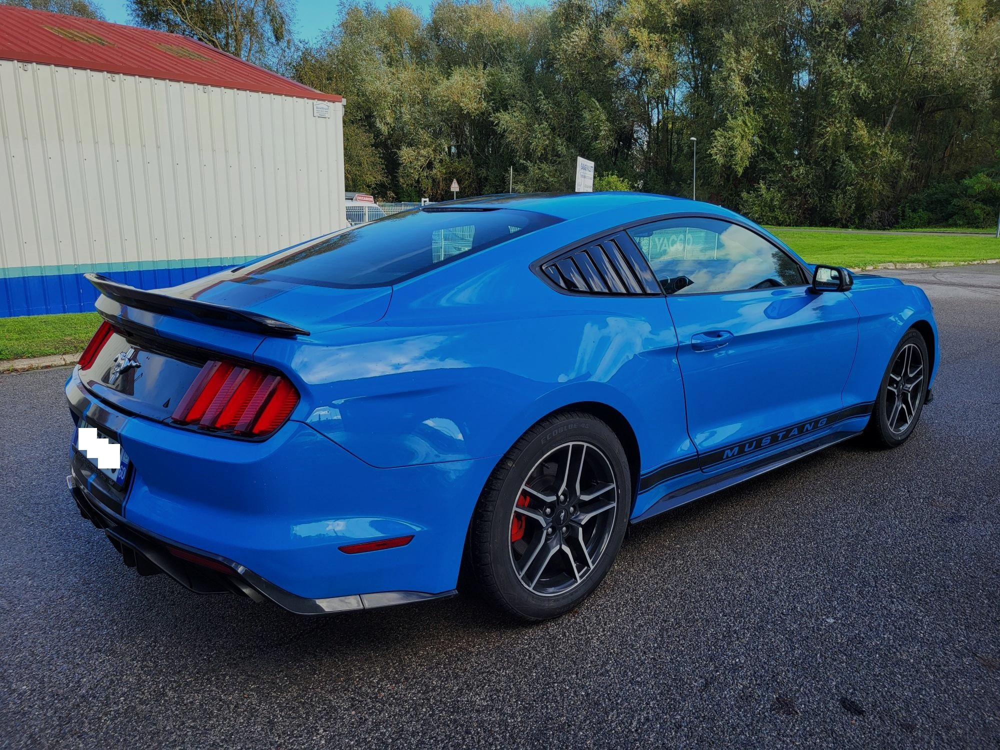 MUSTANG VI