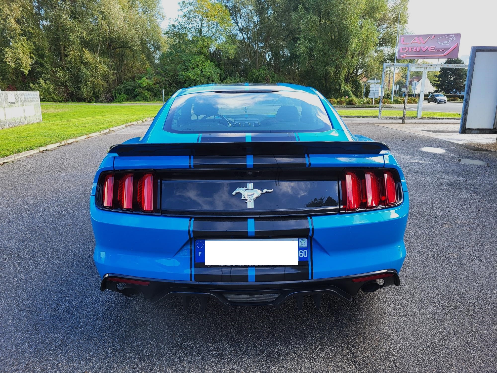 MUSTANG VI