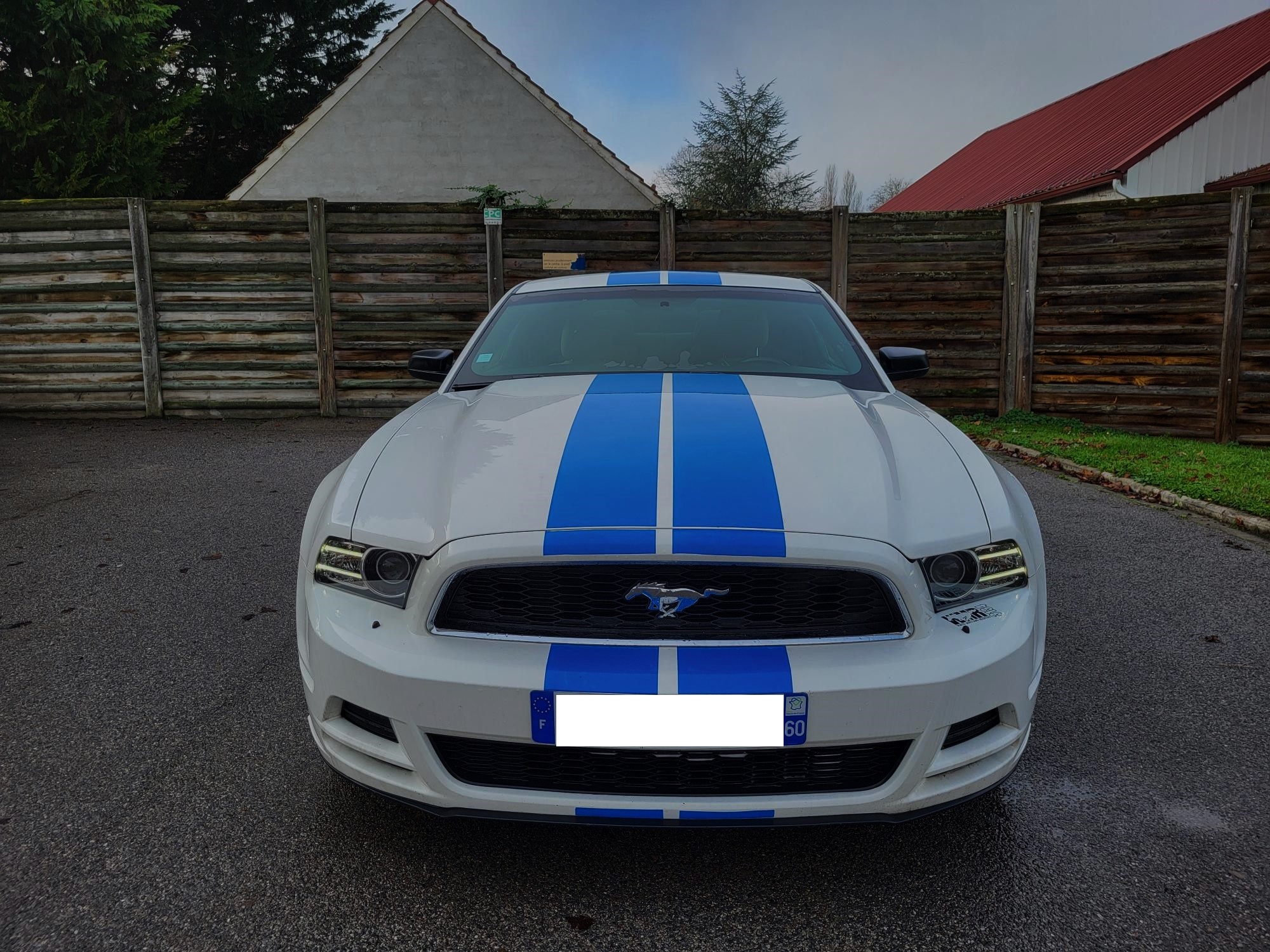 MUSTANG V V6 305