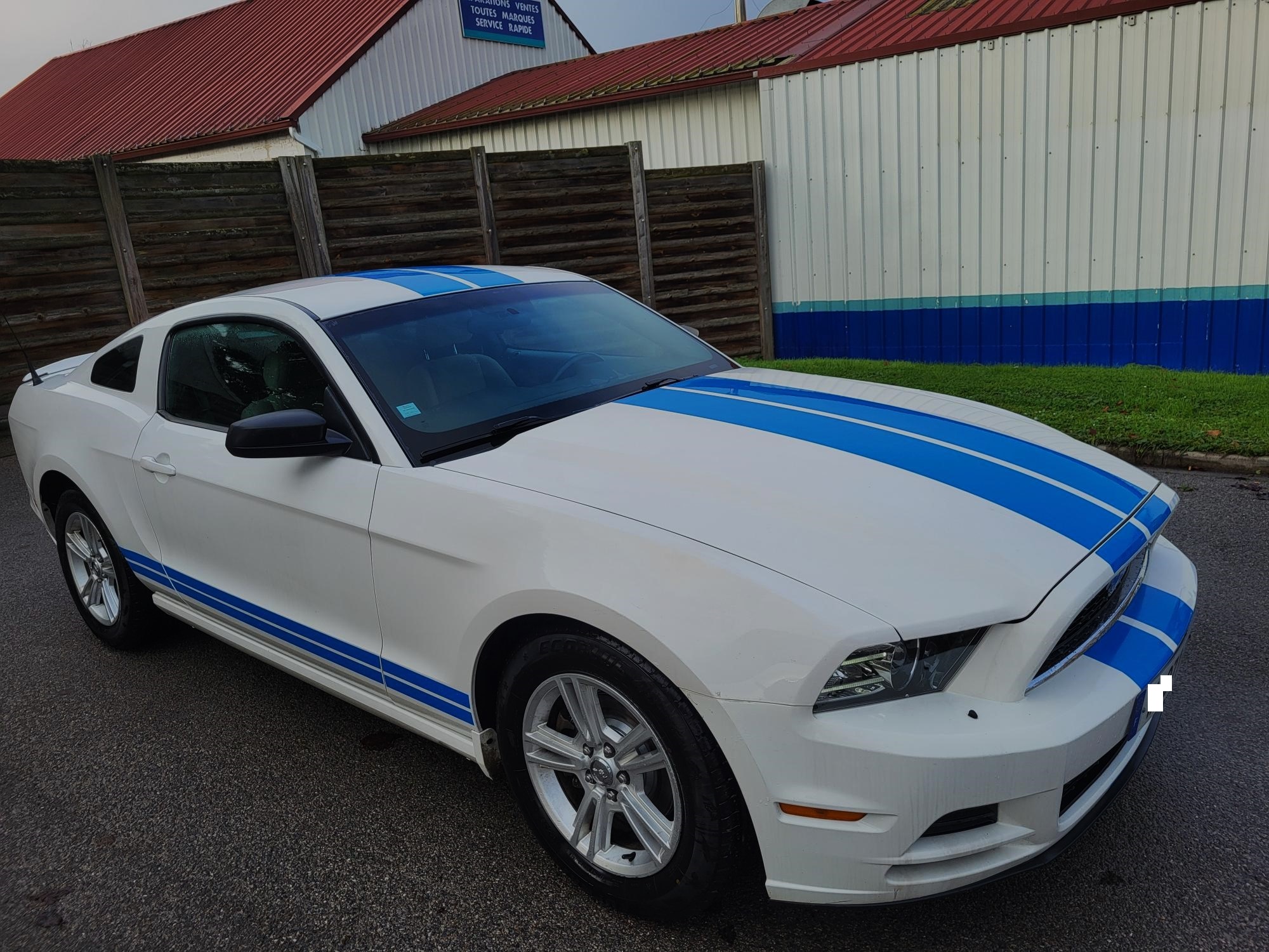 MUSTANG V V6 305