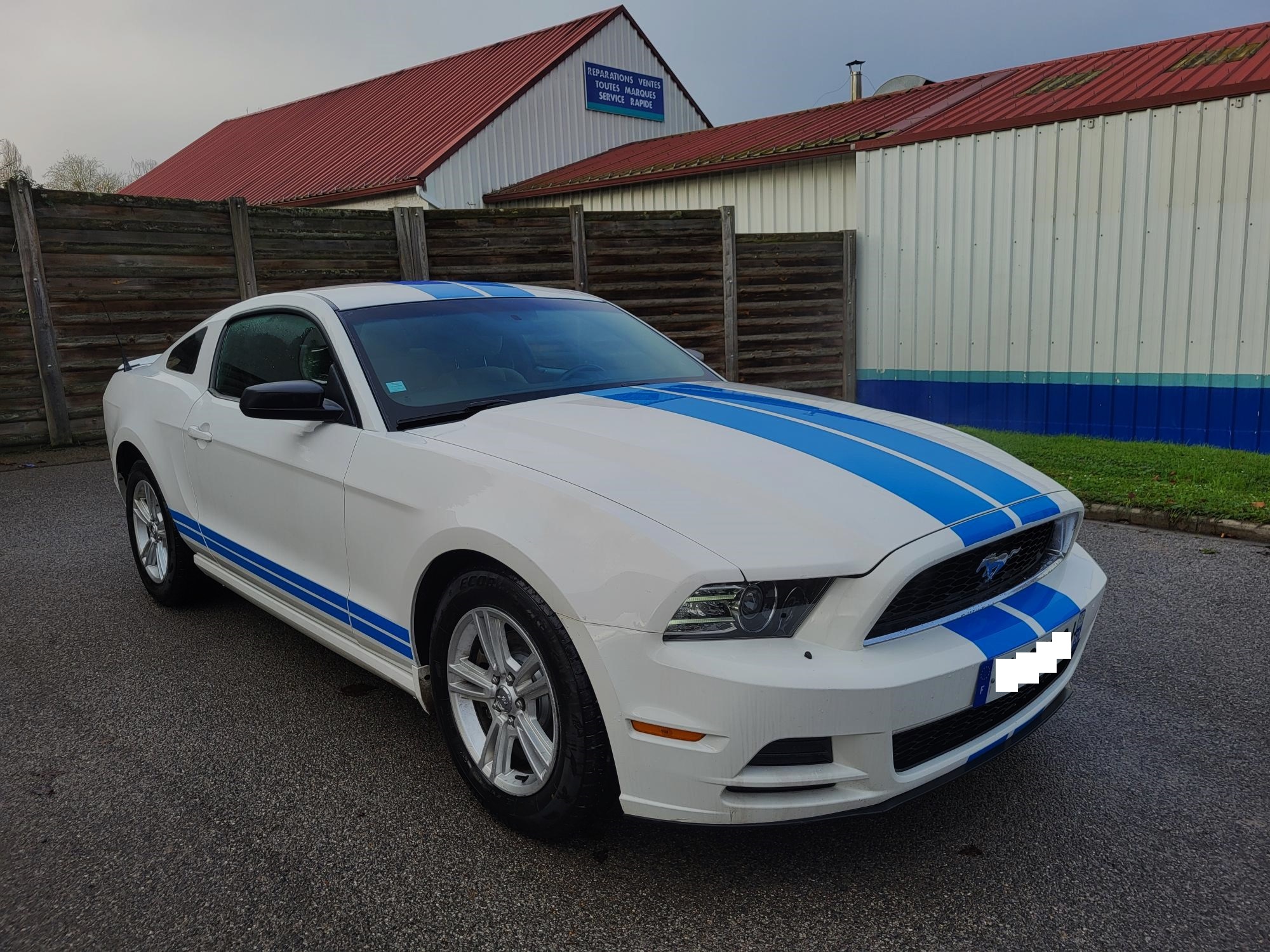 MUSTANG V V6 305