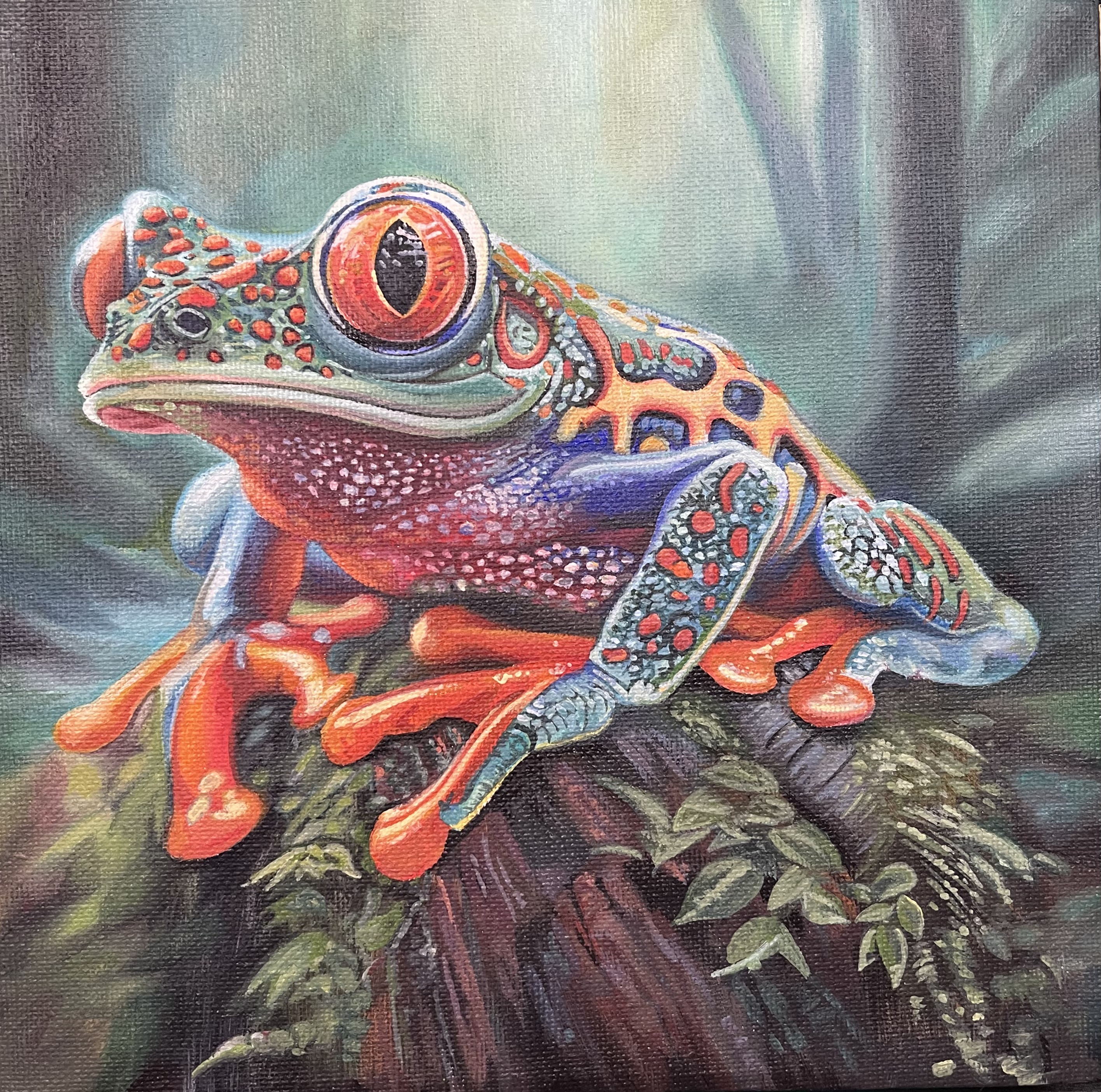 Hopper’s Hideaway - Amazon Forest Mini No.1 - Frog