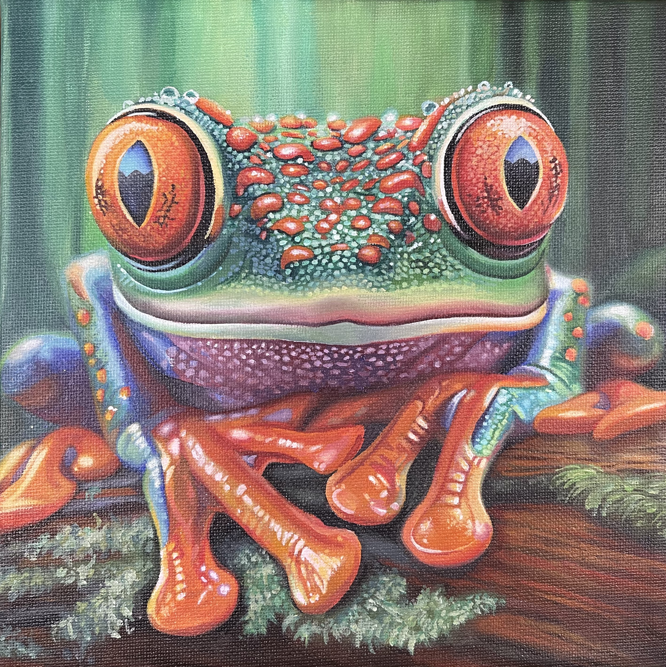 Ember Eyes - Amazon Forest Mini No.2 - Frog. * ADOPTED Sept ‘25 *