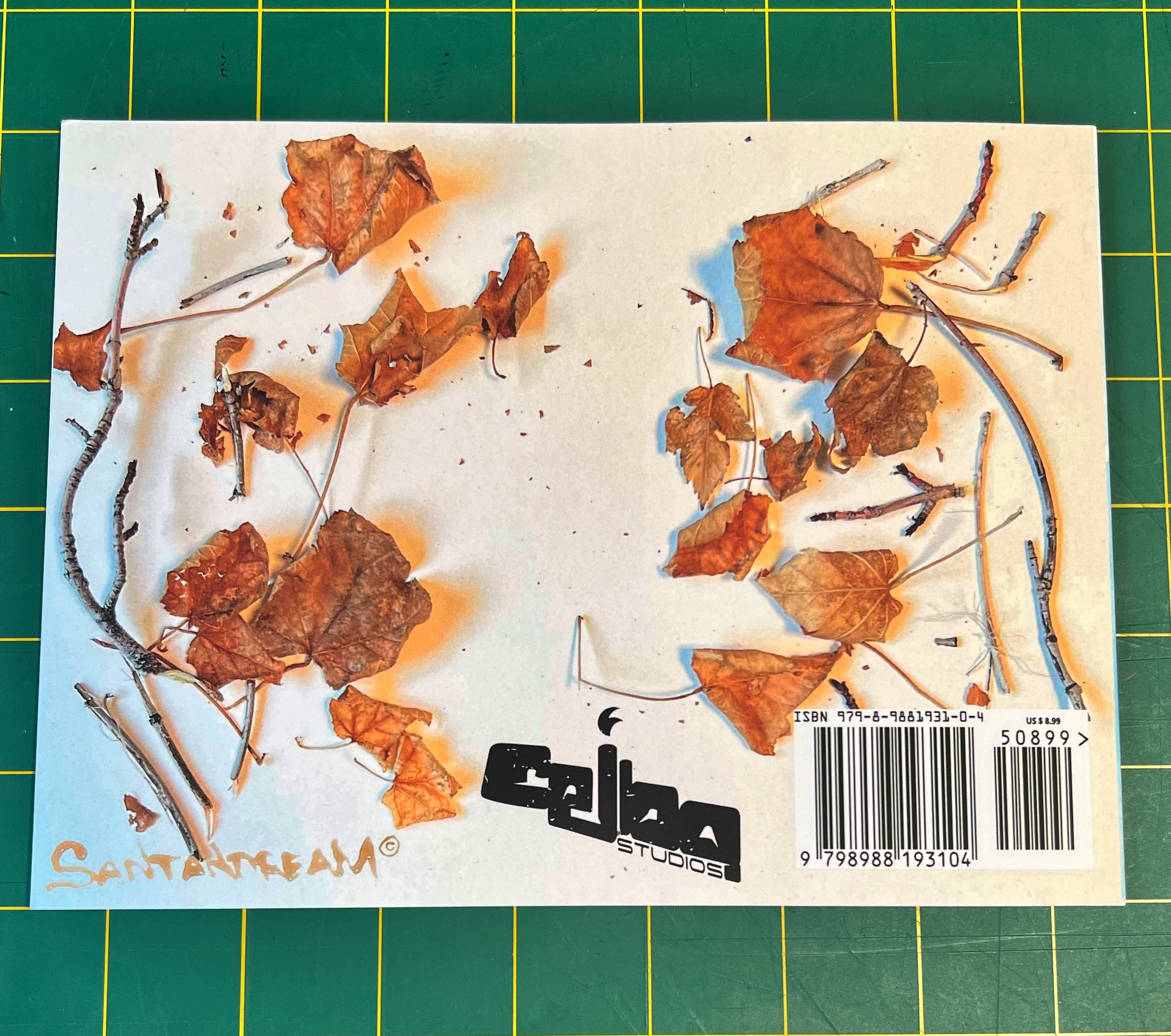 The Brave Maple Chronicles: Seasons Signed Edition