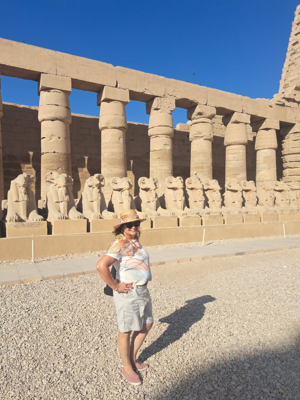 Passeio de um dia em Luxor 