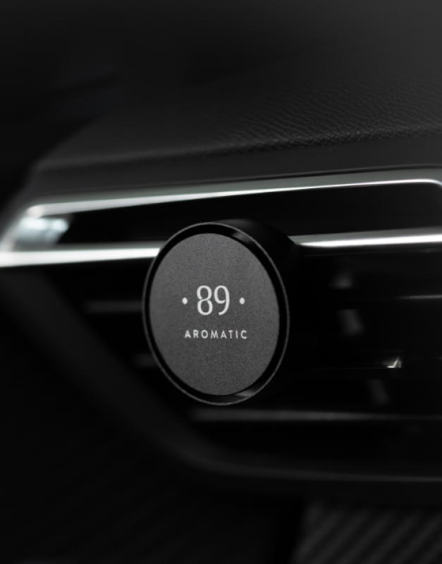 Automobilio oro gaiviklis (į groteles)