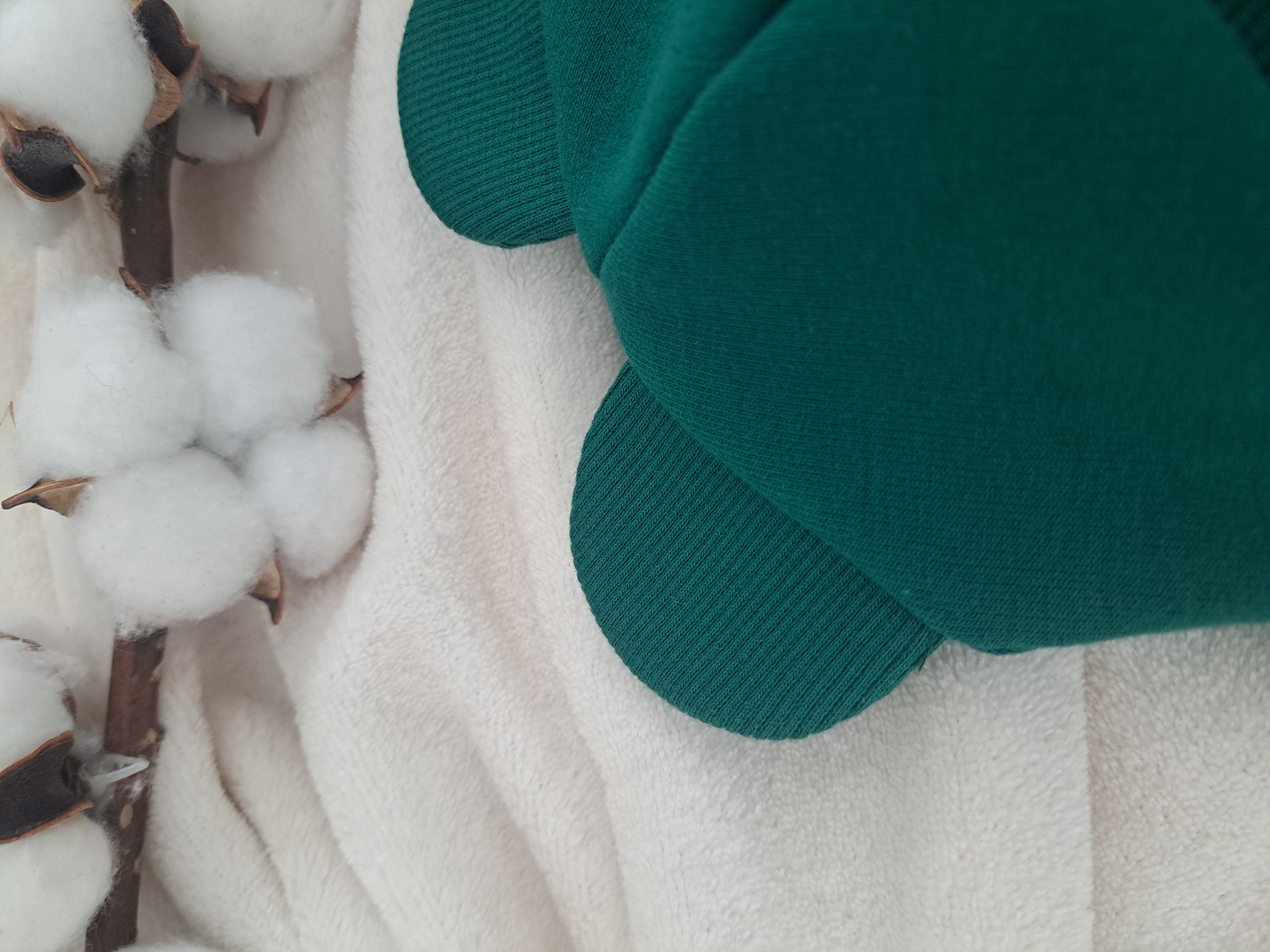 Žieminis šalmukas, Ryški žalia