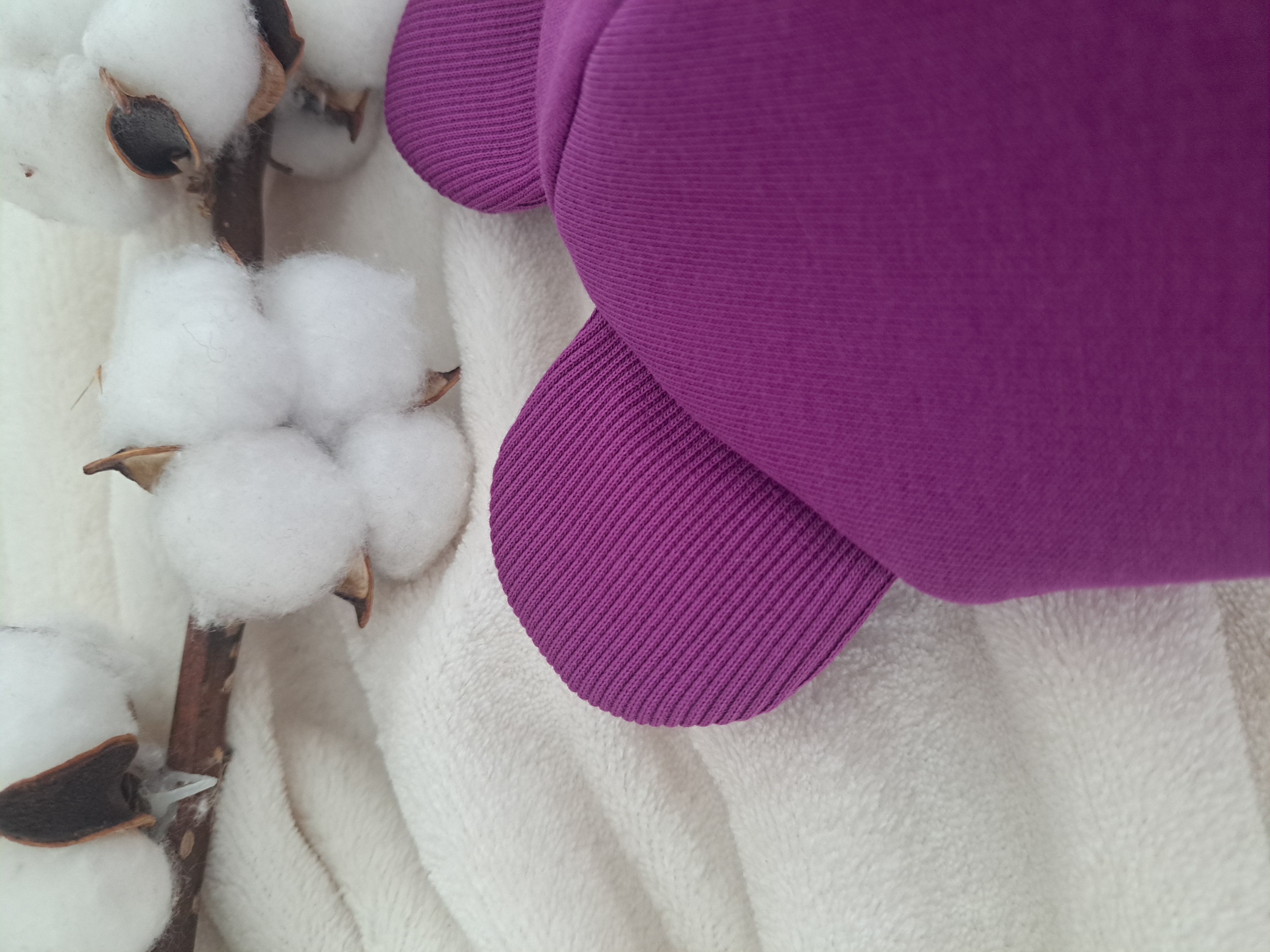 Žieminis šalmukas, Violetinė